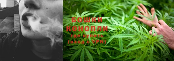 тгк Пестово